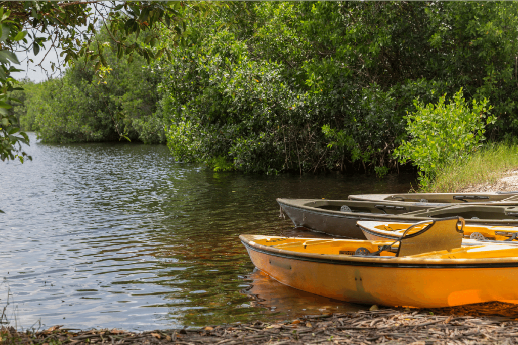 Where is Laura Traveling, Bastrop State Park