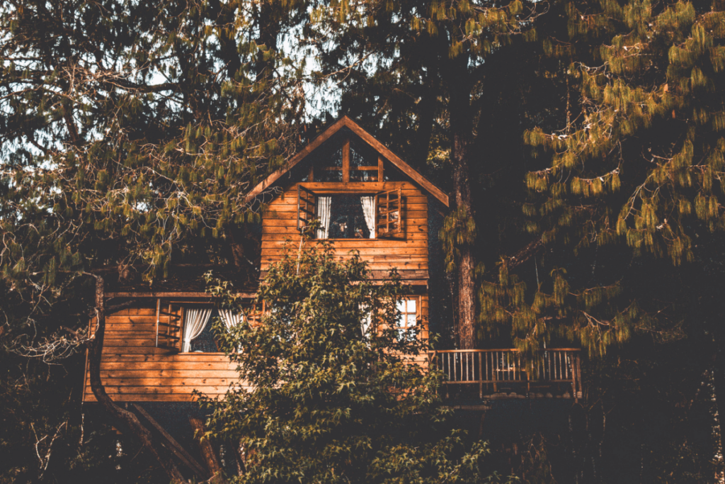 Where is Laura traveling. Pretty treehouse lodging near lost maples state park