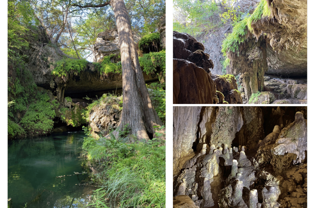 where is laura traveling, westcave preserve