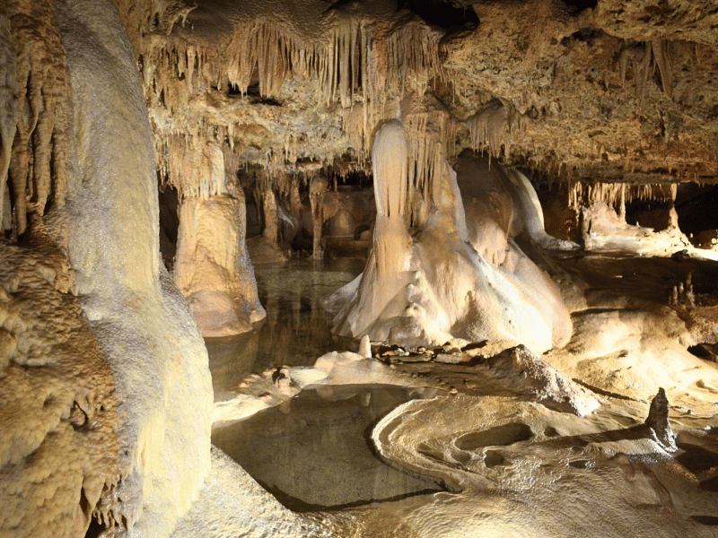 inner space caverns, caves in austin tours