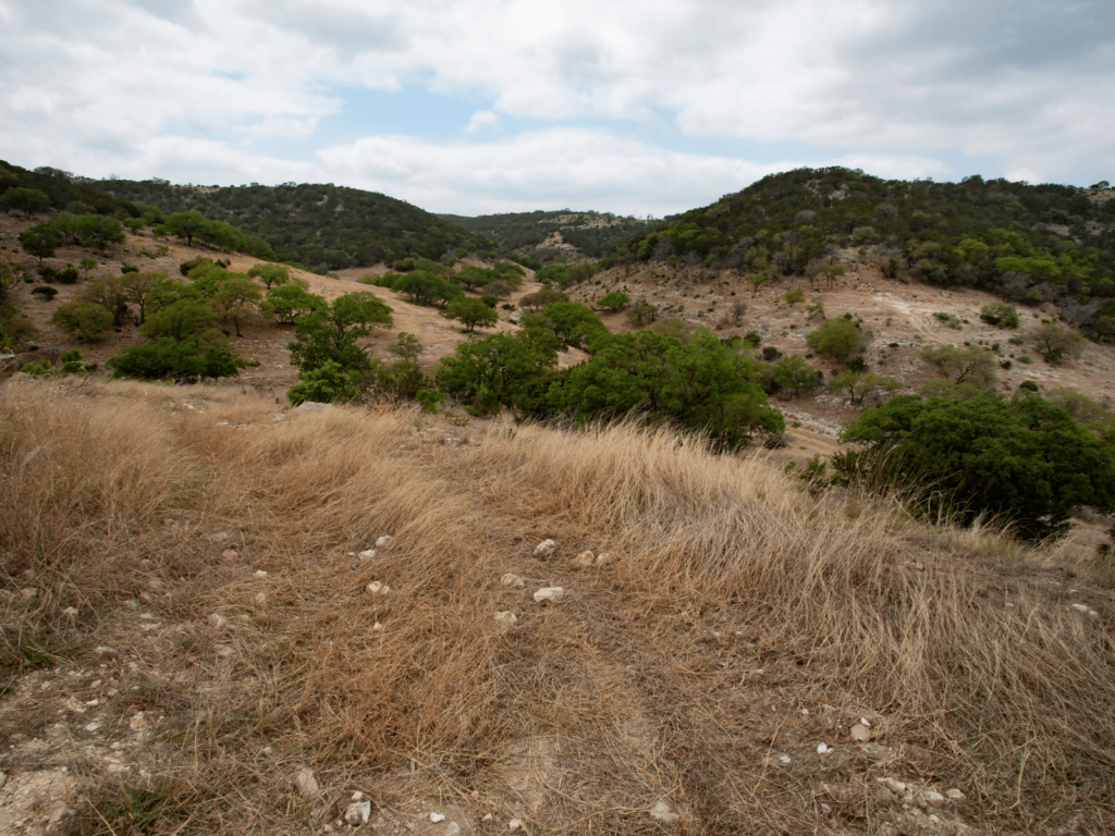 trails through the Hill Country, where is Laura traveling