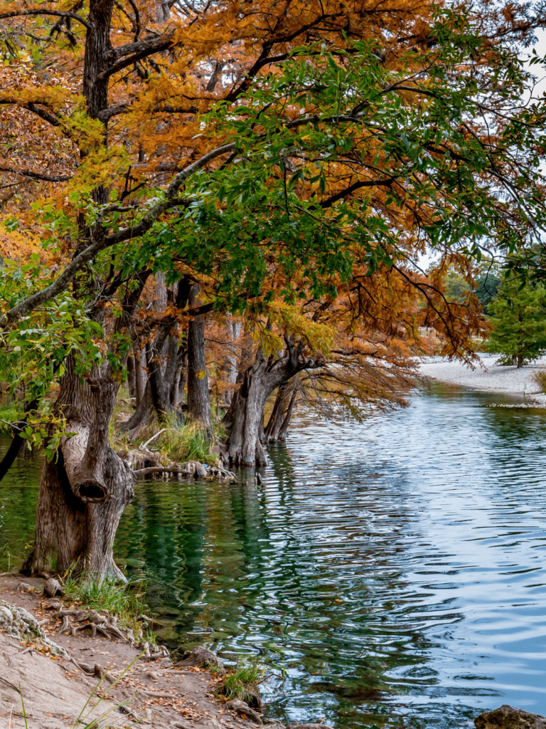 frio river, where is laura traveling