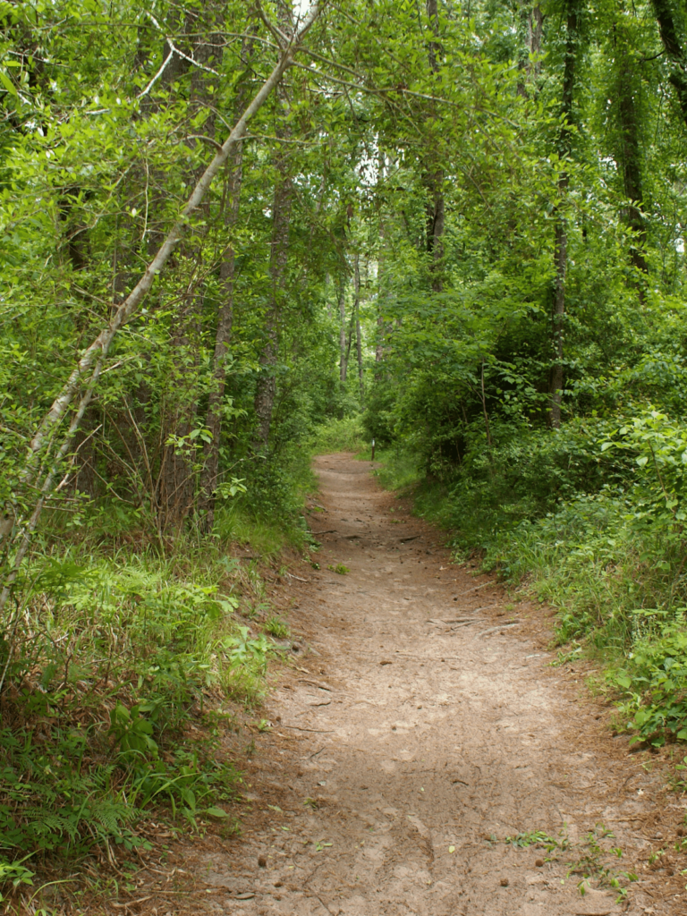 hiking in the hill country through the woods, where is laura traveling