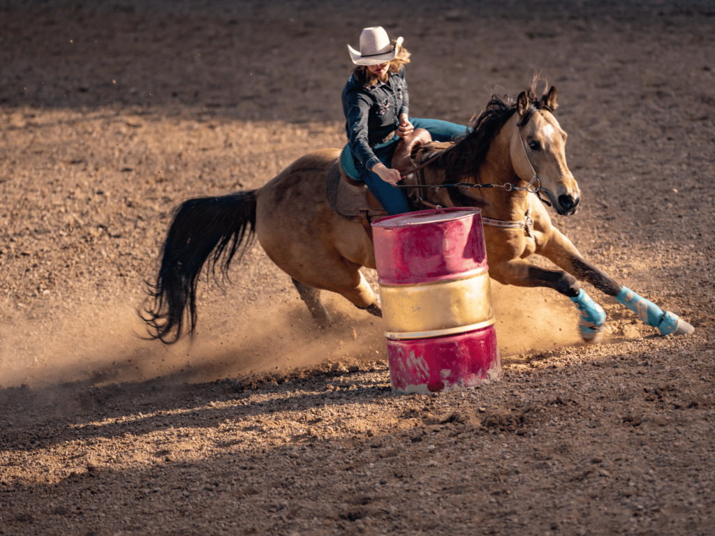 where is laura traveling, barrel racing