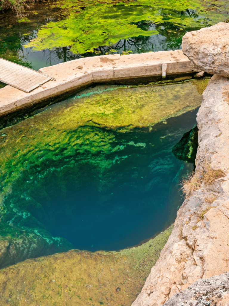 Jacob's well, where is laura traveling