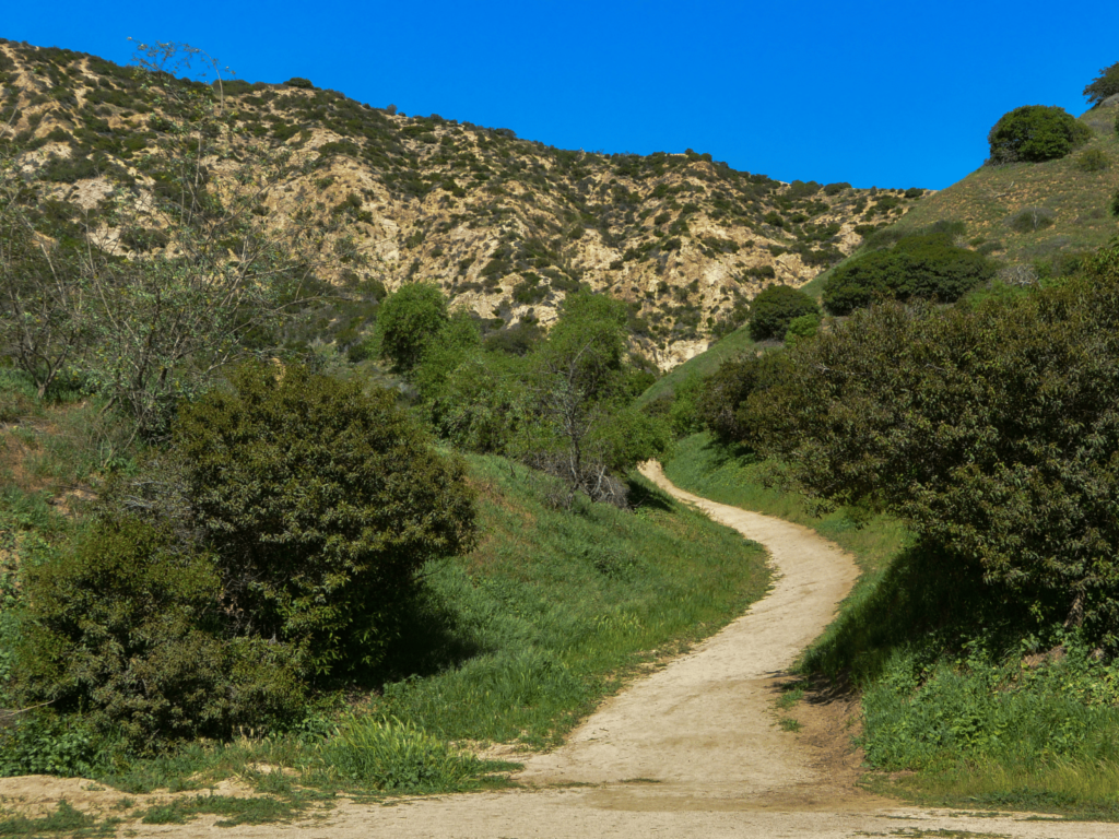 A trail in the Hill Country, where is Laura traveling