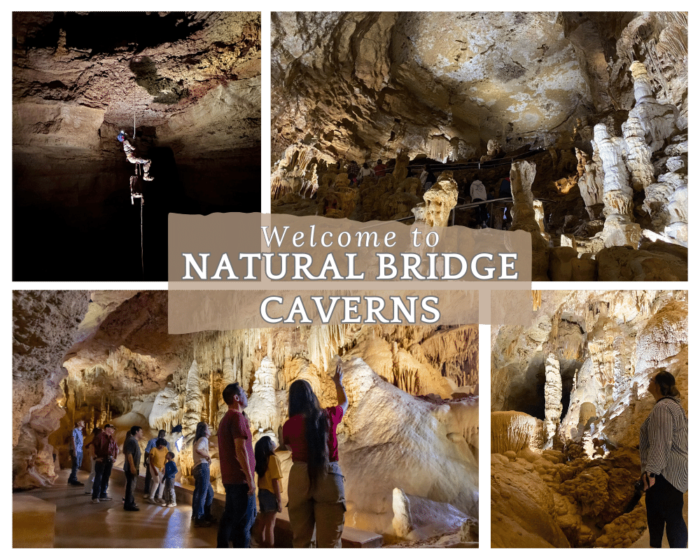 Different tours at natural bridge caverns, where is laura traveling