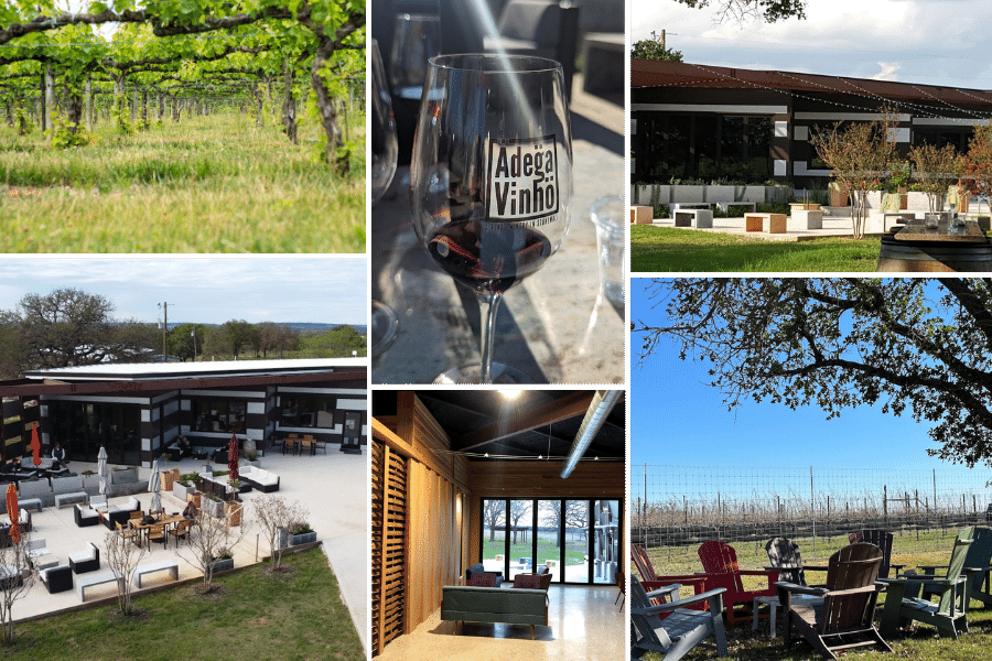 adega vinho winery, texas vineyards, where is laura traveling