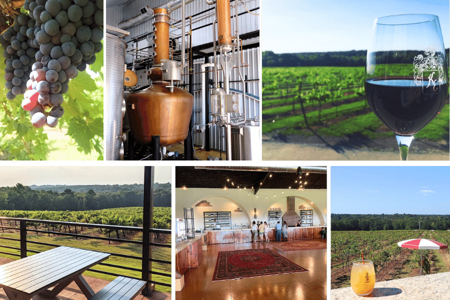 Kiepersol vineyards, where is laura traveling