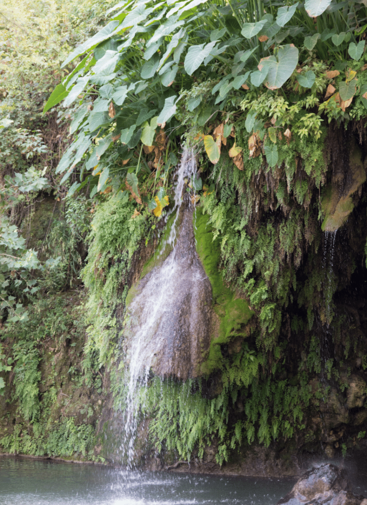 Krause Springs, where is Laura traveling