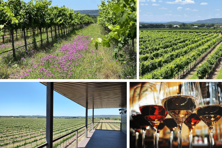 uplift vineyard, where is laura traveling