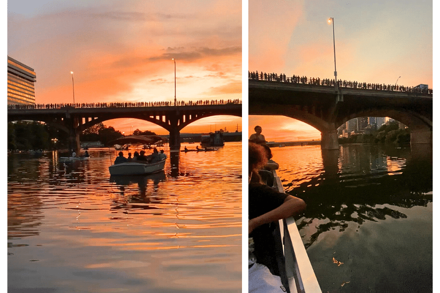 sunset cruise to see the bats in austin, where is laura traveling