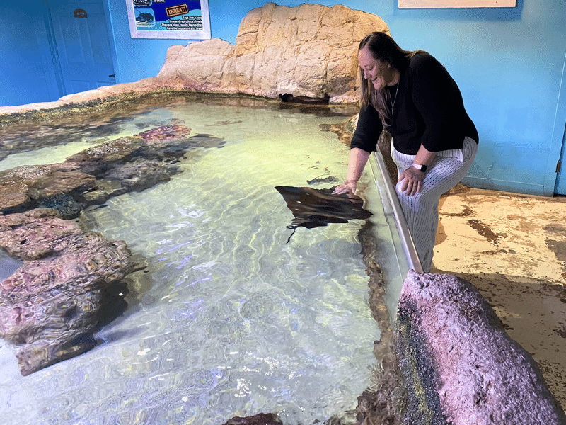 aquarium of austin, where is laura traveling