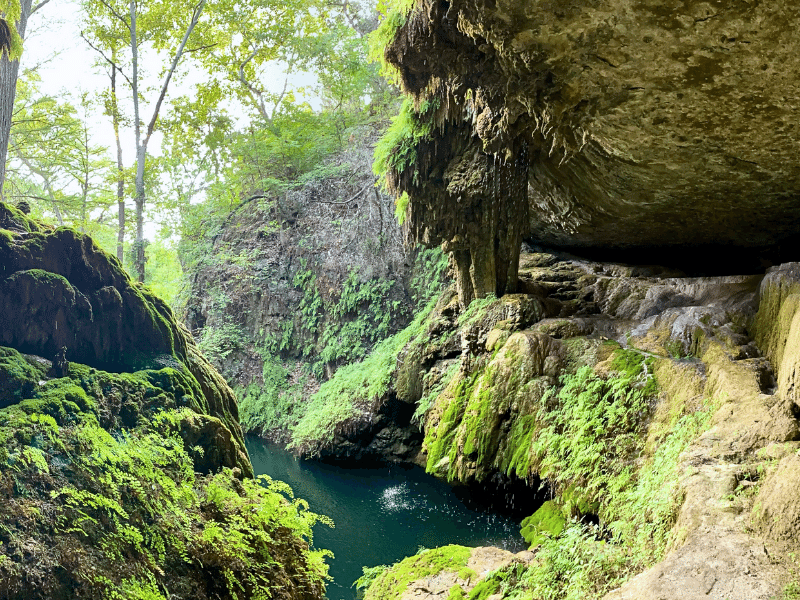 inside westcave preserve