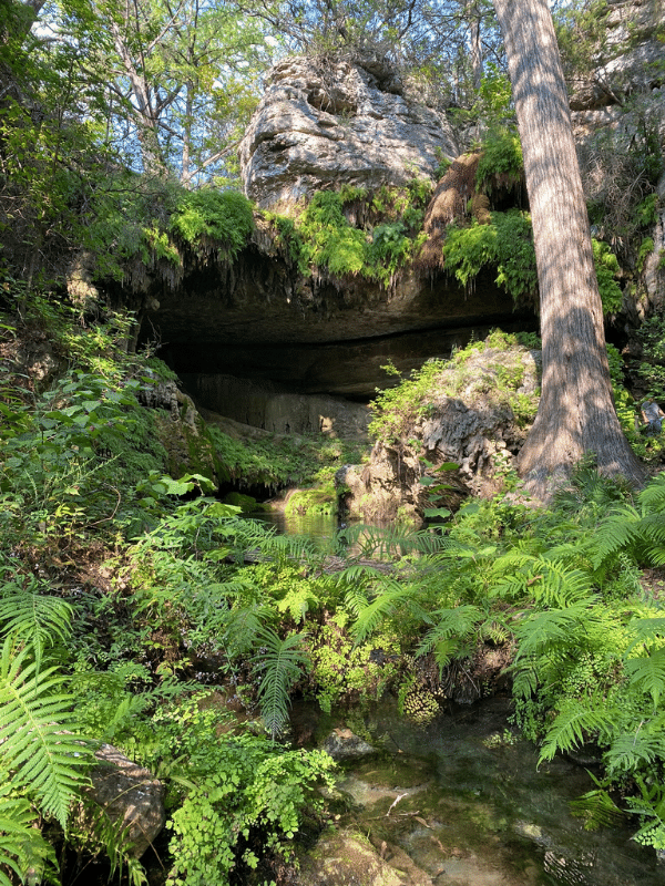 hike to a cave, where is laura traveling