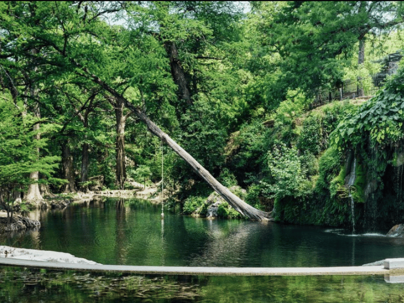 Texas swimming hole at Krause Springs, where is laura traveling