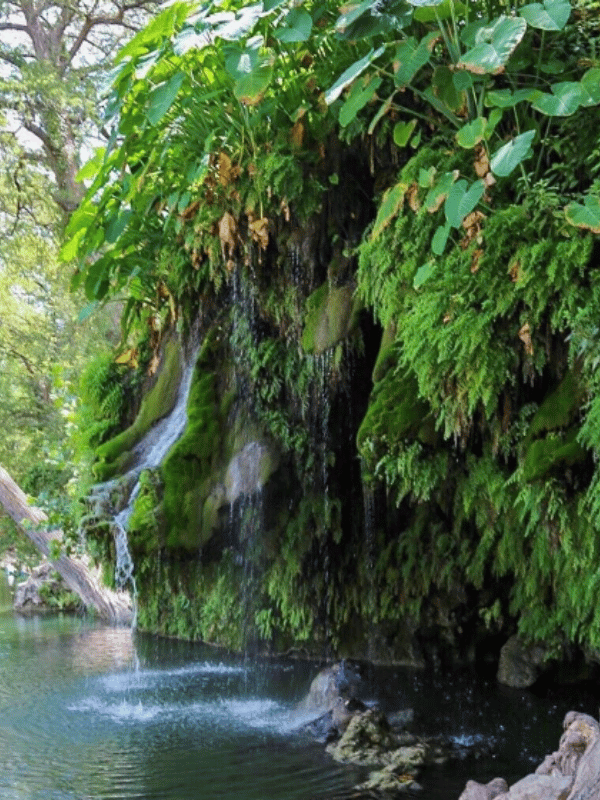 krause springs waterfall, where is laura traveling