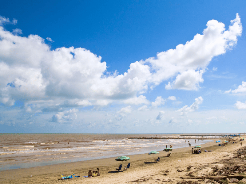 galveston beach, where is laura traveling