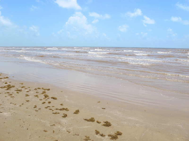 pirates beach, where is laura traveling