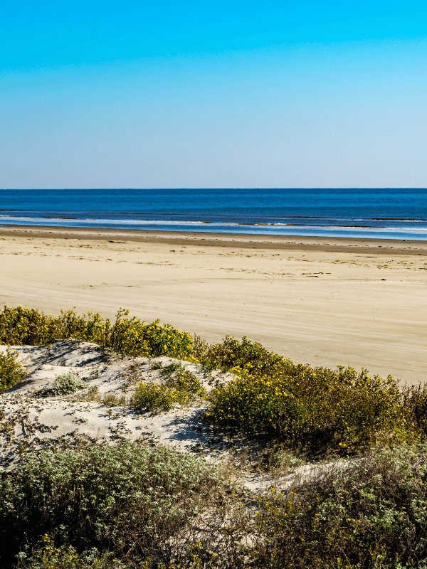 crystal beach, where is laura traveling