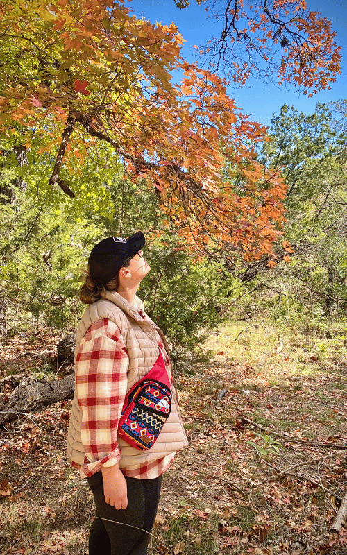 see the leaves change at Lost Maples State Park