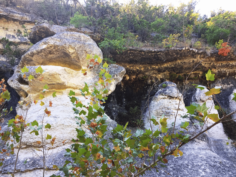 Lost Maples, Monkey Rock