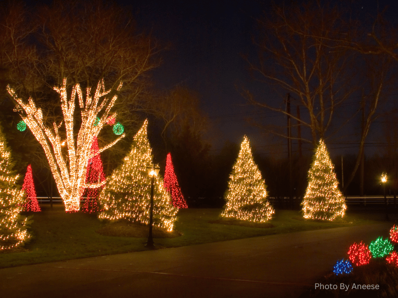 christmas trees